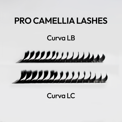NUEVO Pro Camellia Lashes